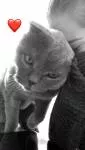 avatar petsitter