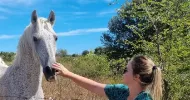 avatar petsitter