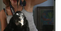 avatar petsitter