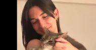 avatar petsitter