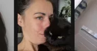 avatar petsitter