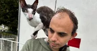 avatar petsitter