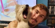 avatar petsitter