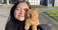 avatar petsitter