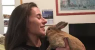 avatar petsitter