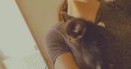 avatar petsitter