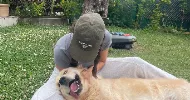 avatar petsitter