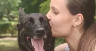 avatar petsitter
