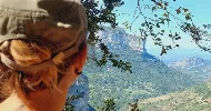 avatar petsitter