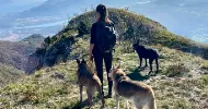 avatar petsitter