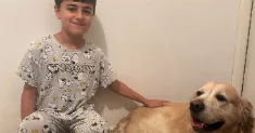 avatar petsitter