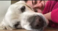 avatar petsitter
