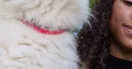 avatar petsitter