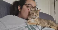 avatar petsitter