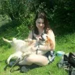 avatar petsitter