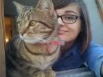 avatar petsitter