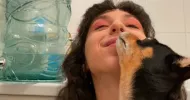 avatar petsitter