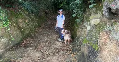 avatar petsitter
