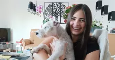 avatar petsitter
