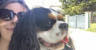 avatar petsitter