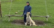 avatar petsitter