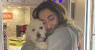 avatar petsitter