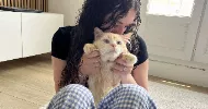 avatar petsitter