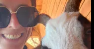 avatar petsitter