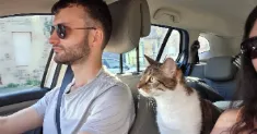 avatar petsitter