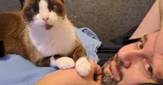 avatar petsitter