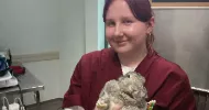 avatar petsitter