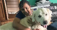avatar petsitter