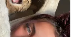 avatar petsitter