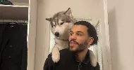 avatar petsitter