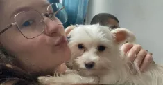 avatar petsitter