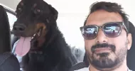 avatar petsitter
