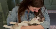 avatar petsitter