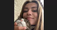 avatar petsitter