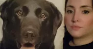 avatar petsitter