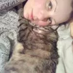 avatar petsitter