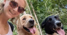 avatar petsitter