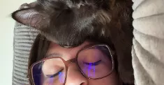 avatar petsitter