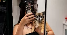 avatar petsitter