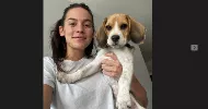 avatar petsitter