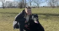 avatar petsitter