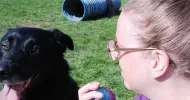 avatar petsitter