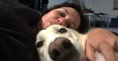 avatar petsitter