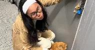 avatar petsitter