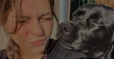 avatar petsitter