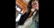 avatar petsitter